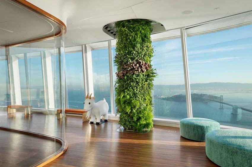 Salesforce Tower办公楼柱体绿化景观设计丨美国丨Habitat Horticulture景观设计公司-12