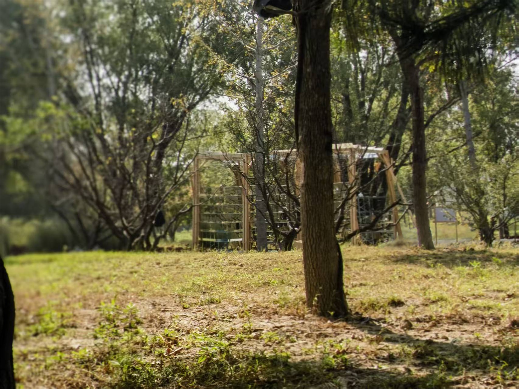 气候盒子丨中国北京丨重庆大学建筑城规学院“空间之间”营造团队-5