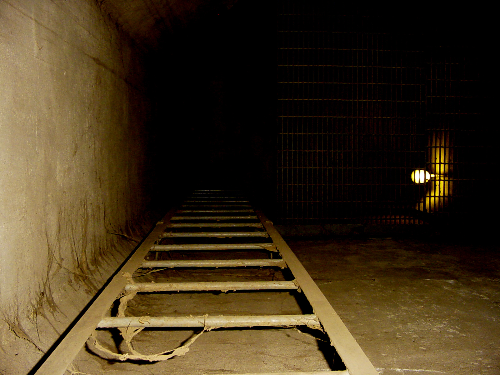 Star Gardens; Purple Hollow — endemicarchitecture-6