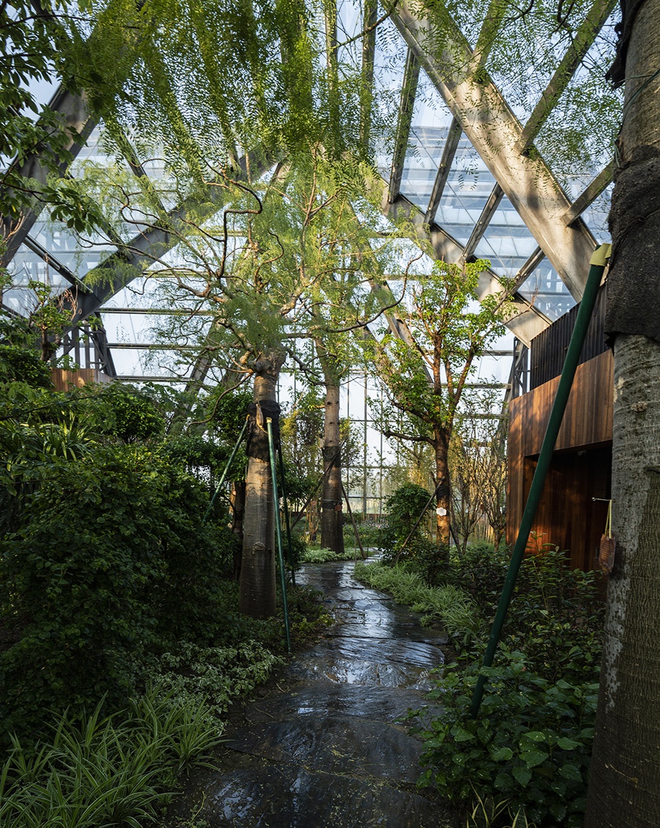 衡水植物园温室展览馆丨中国河北丨空格建筑-67