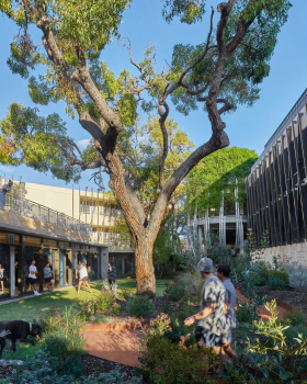 St. Catherine’s College Indigenous Student Accommodation / Wilson Architects
