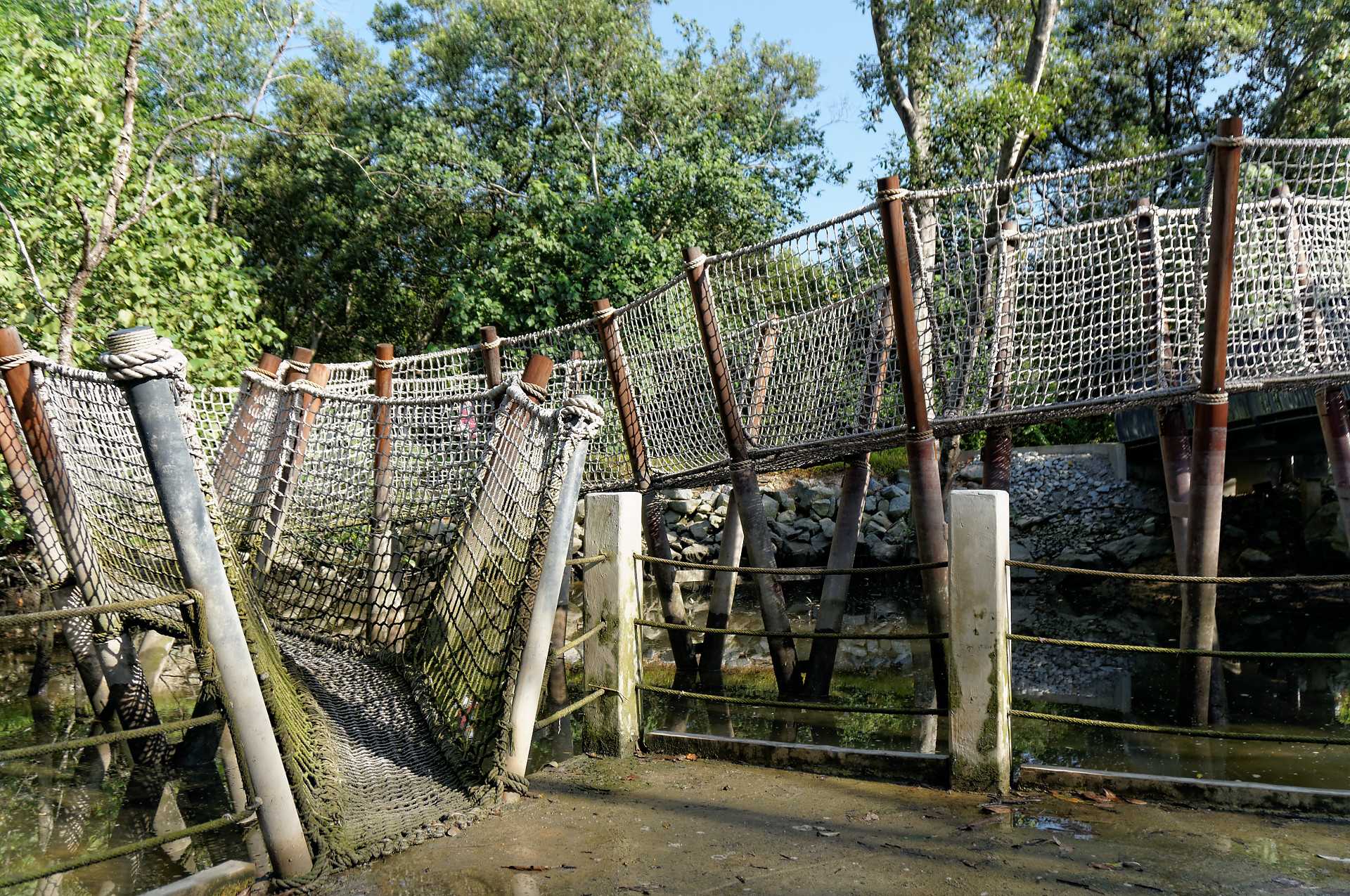 新加坡双溪布洛湿地公园——自然与设计的完美融合-14