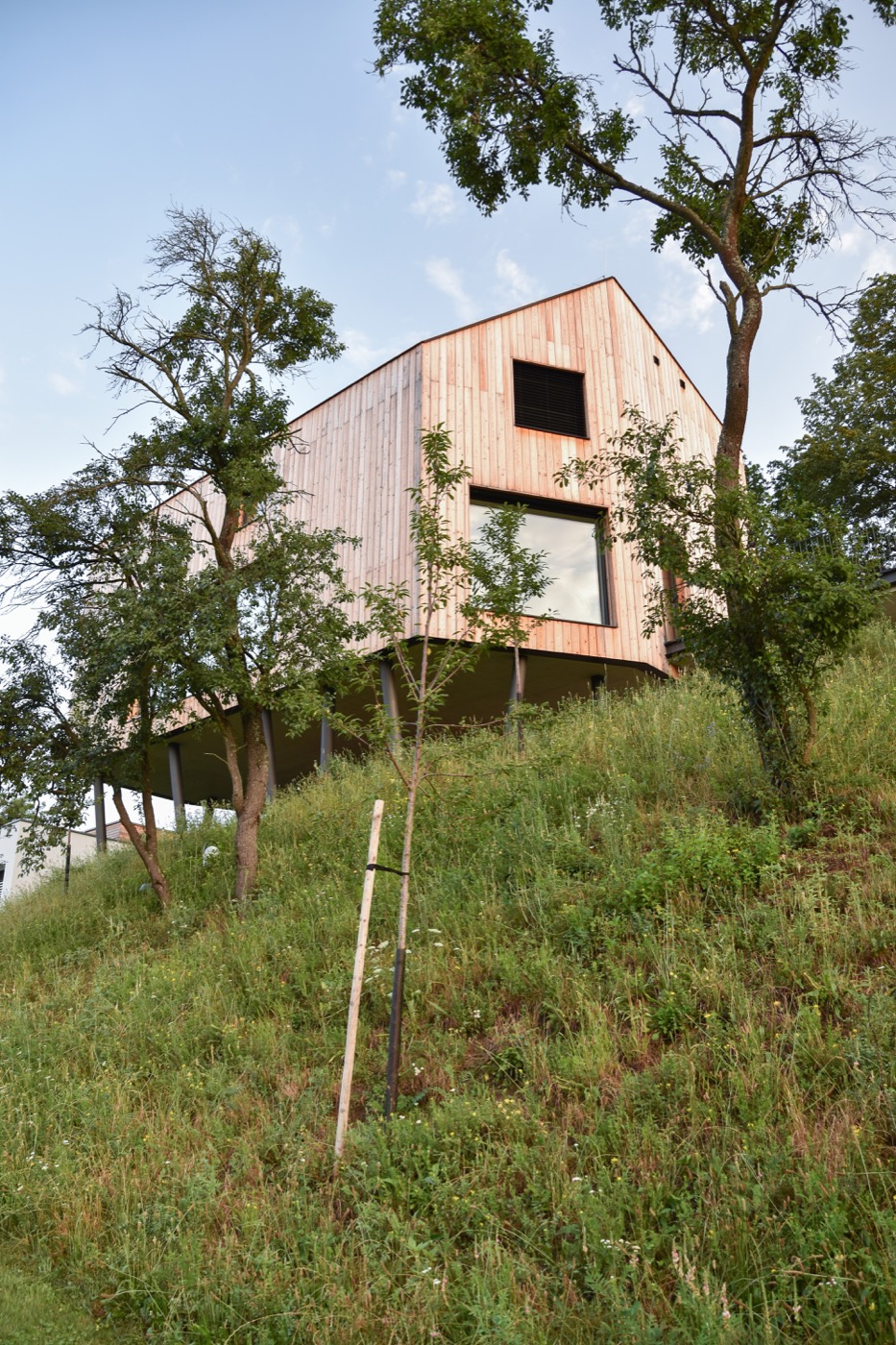 绿色和谐的坡地住宅花园设计丨捷克丨Tomáš Beránek-22