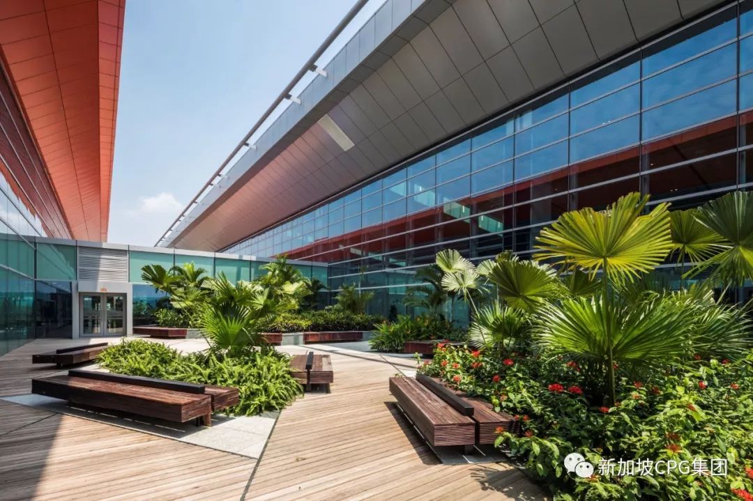 越南云顿国际机场——2019 年亚洲领先新机场-16