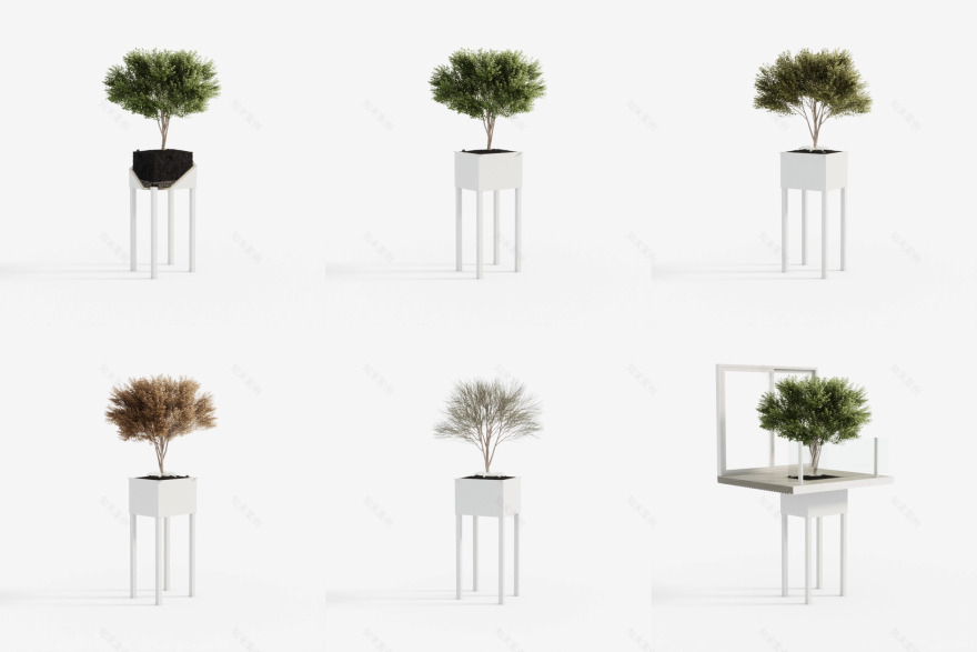 德沃图宁公寓大楼丨荷兰阿姆斯特丹丨Elephant-42