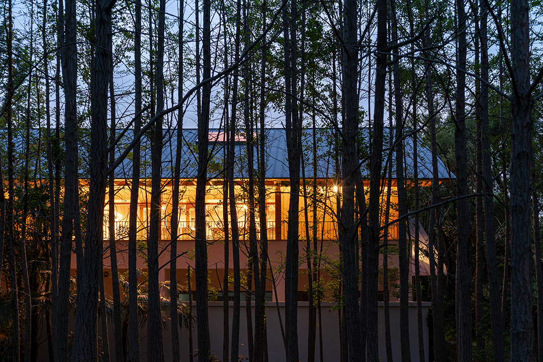 长宁环城生态公园带市民服务驿站丨中国上海丨致正建筑工作室,冶是建筑-66