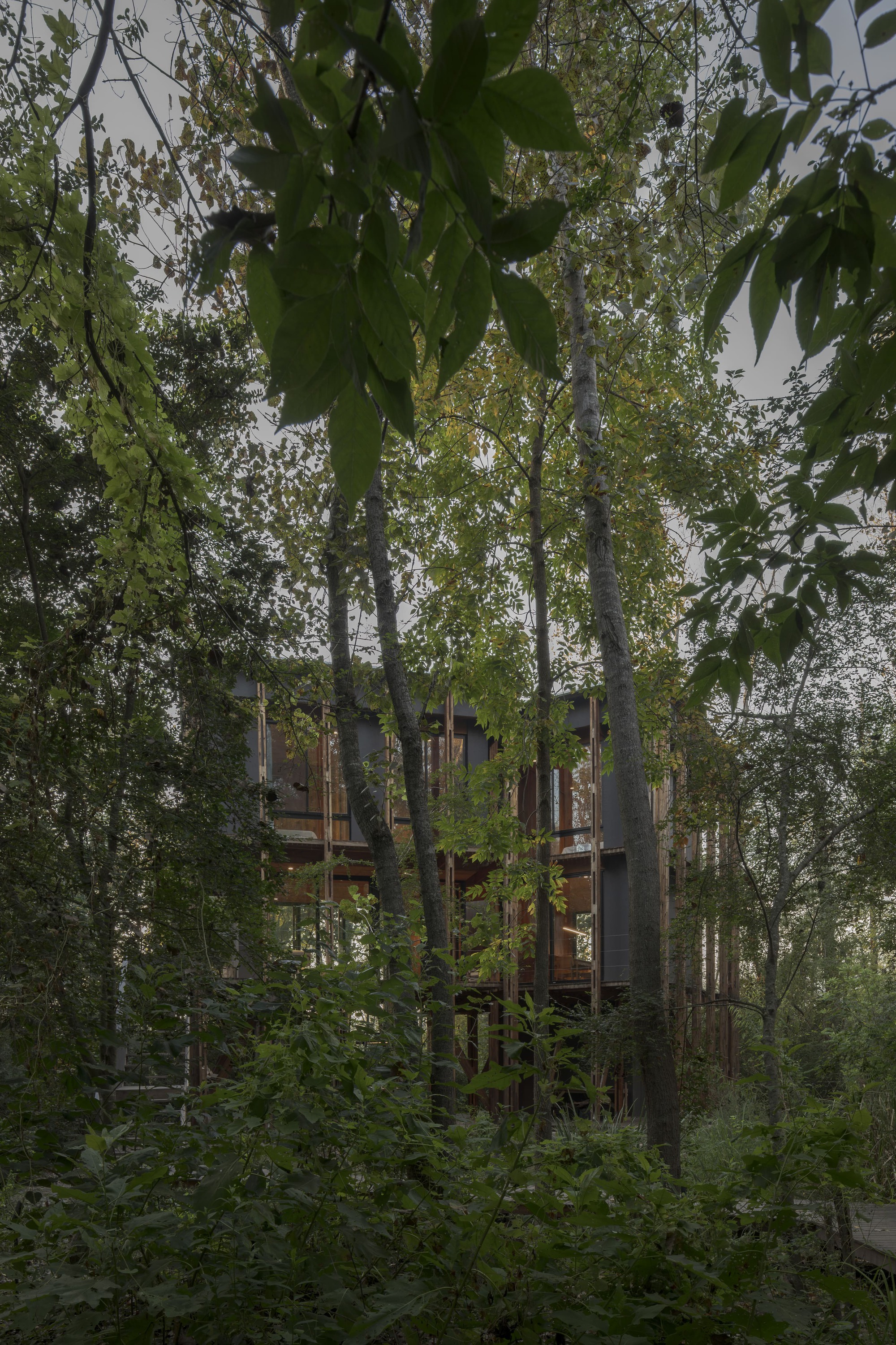 丨阿根廷丨Matías Cosenza Arquitecto-29