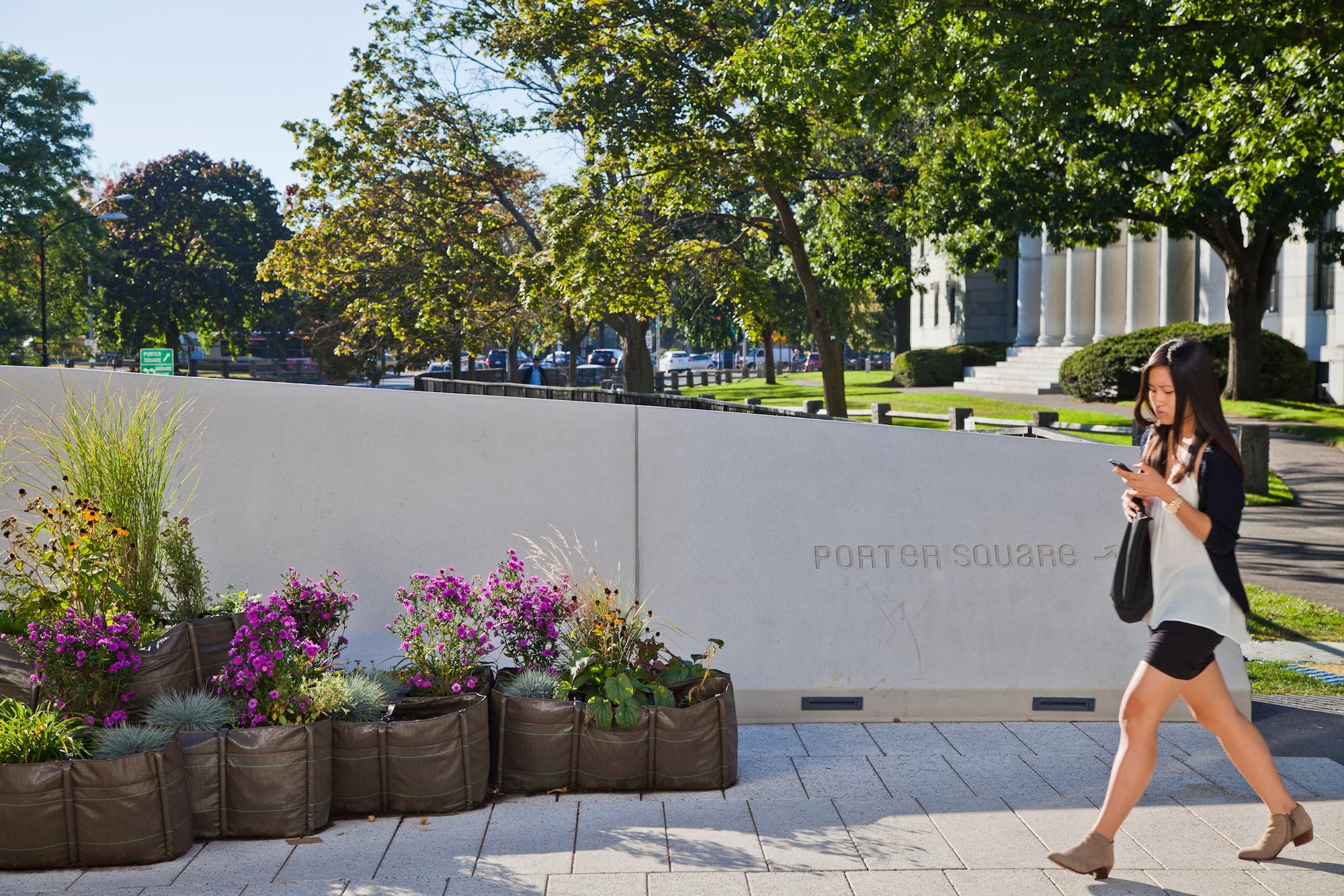 哈佛大学广场丨美国丨不详-21