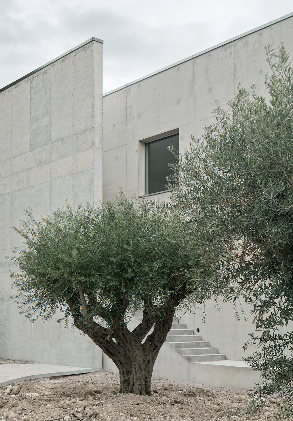 阿利坎特多功能体育馆扩建丨西班牙-13