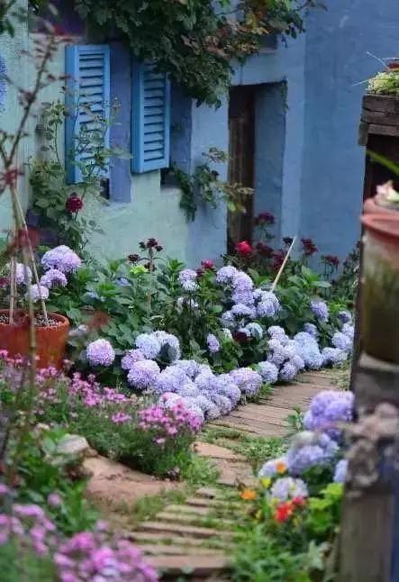 他建了座2亩的鲜花小院，满足你对花园的所有幻想-46