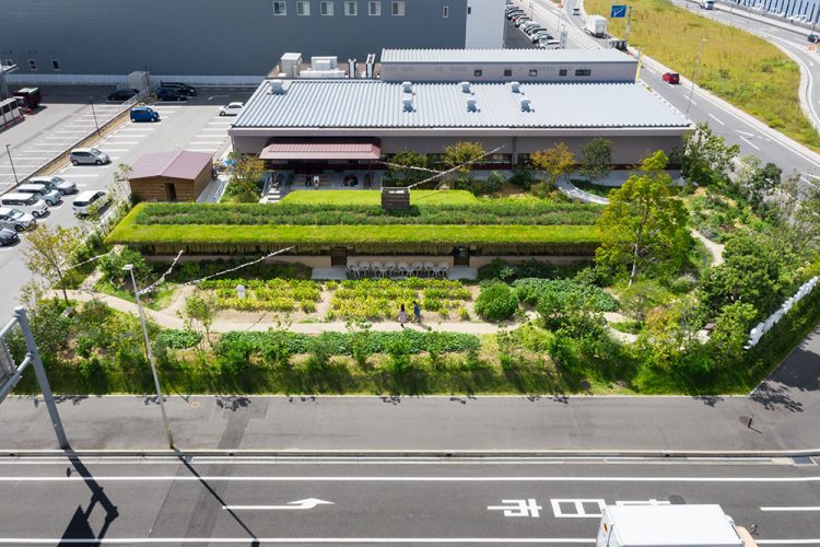 Laboratory Under The Crop Field-17
