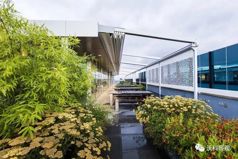 融入自然的别墅庭院设计-73