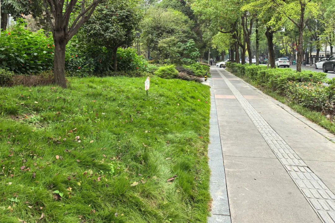 家门口的运动场丨路侧单一功能场地“变身”健康生活走廊-21