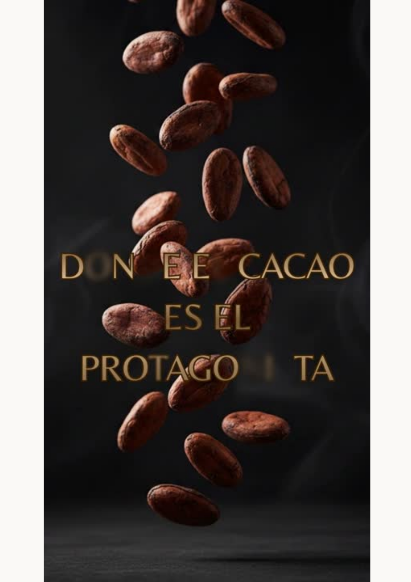 ENTREGA FINAL-VISUAL BRANDING-5