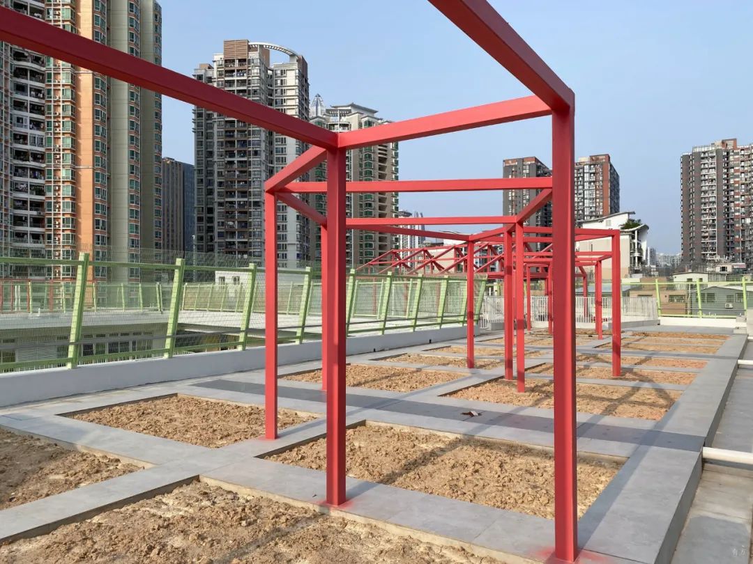 深圳新校园行动丨中国深圳-84