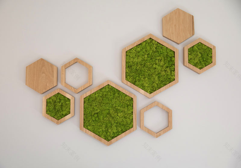 带和谐景观设计的住宅-6