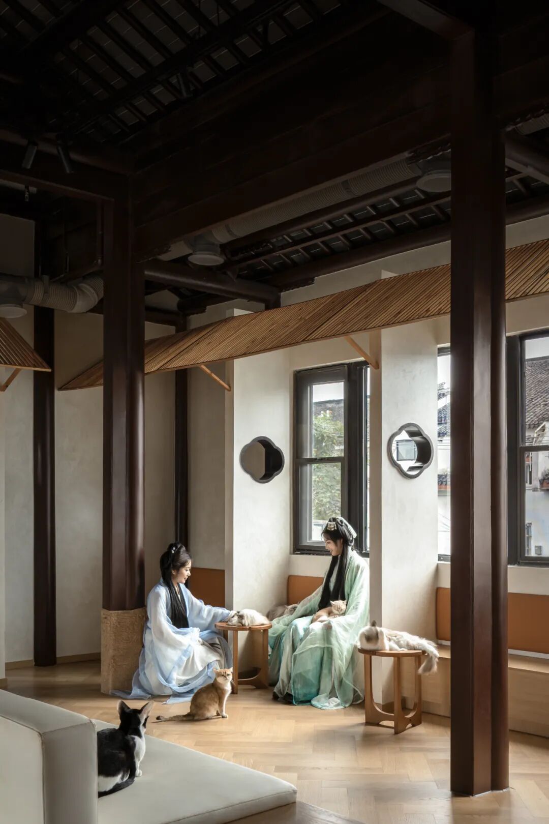 平江老街的萌宠空间-11