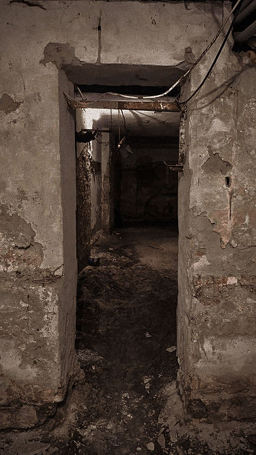 丨乌克兰基辅丨Volodymyr Mints等团队-37