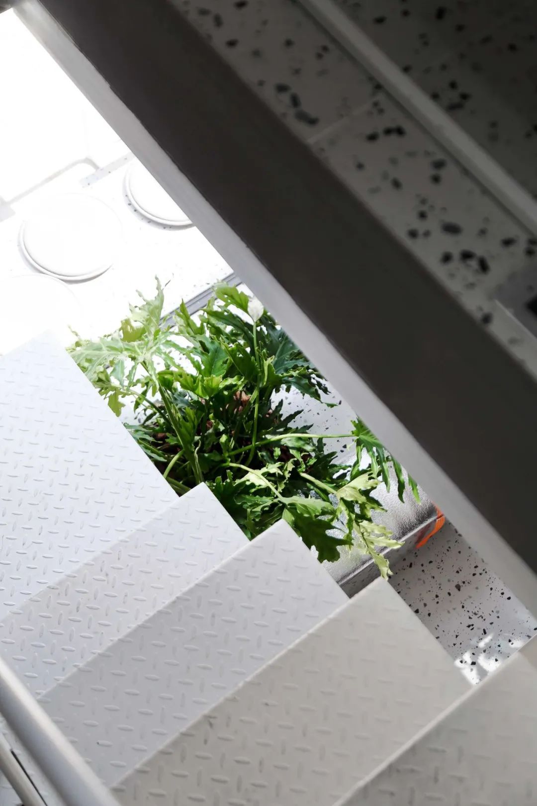 30 平米极致办公空间，宁波离宅半米设计案例解析-51