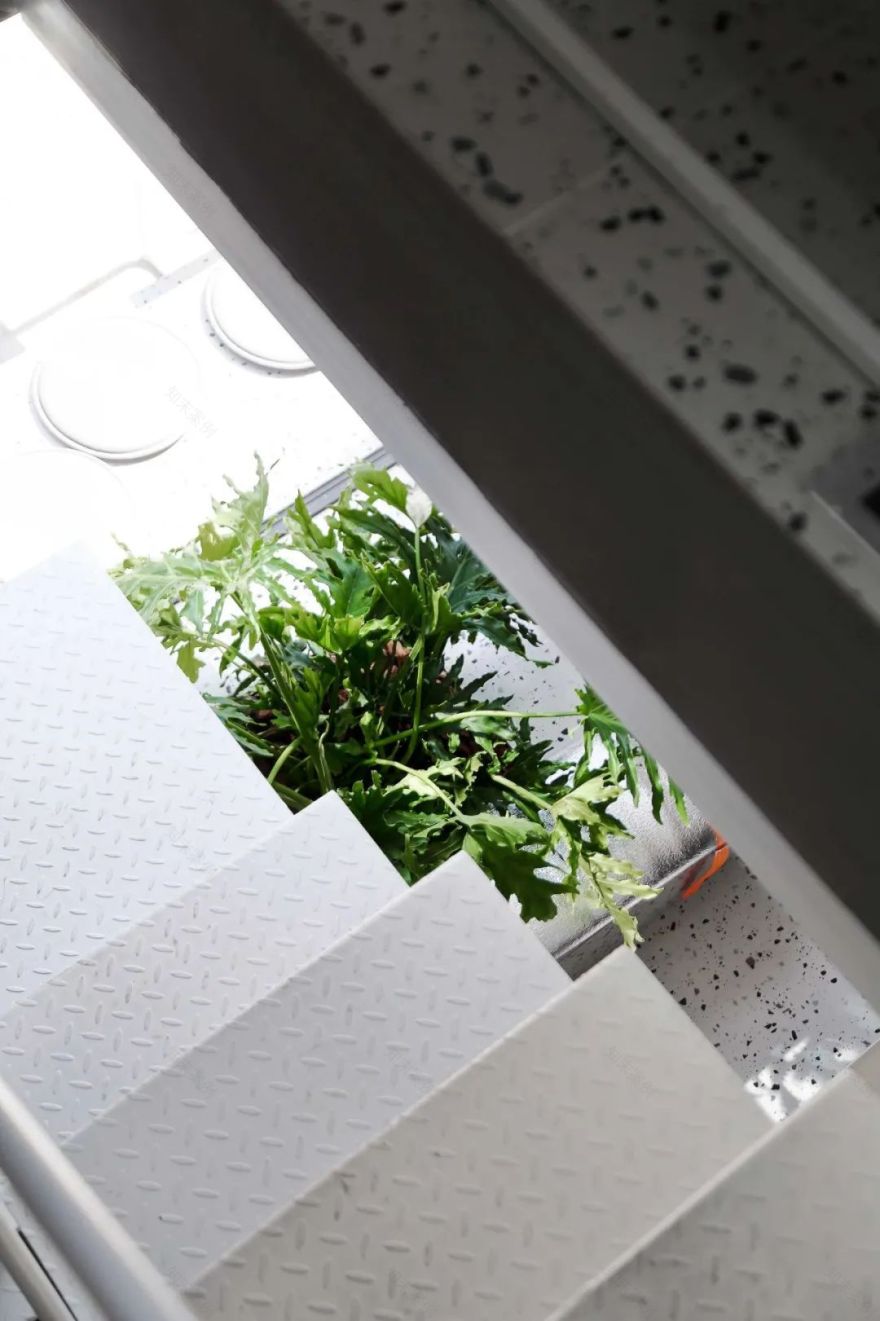 30 平米极致办公空间,宁波离宅半米设计案例解析-51