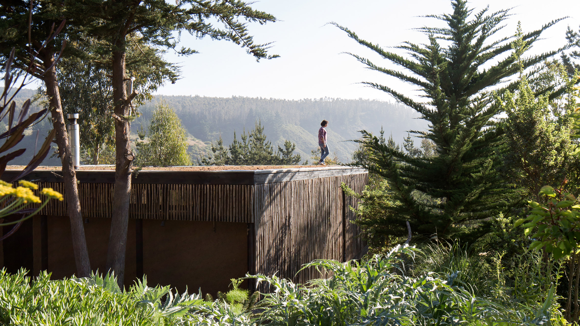 Studio Selva wraps Chilean surfers' retreat in eucalyptus screens-0