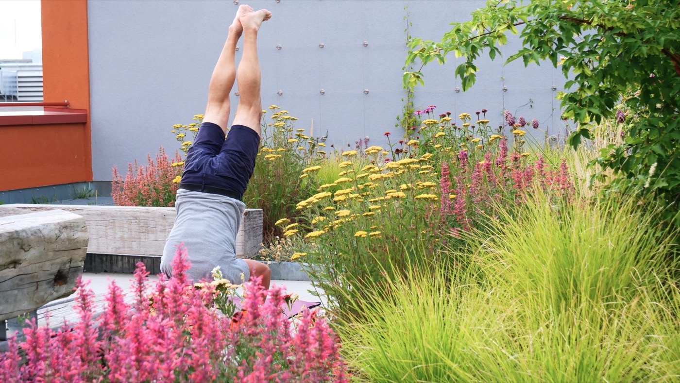 柏林 Kreuzberg 商业庭院与屋顶露台丨德国柏林丨Thomas Hillig Architekten-29