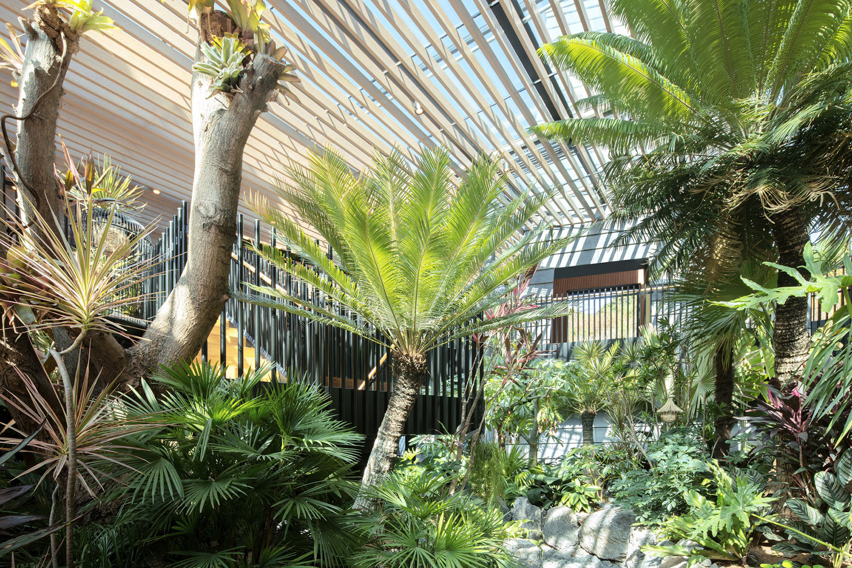 森之谷温泉中心，承德 / B.L.U.E. 建筑设计事务所-49