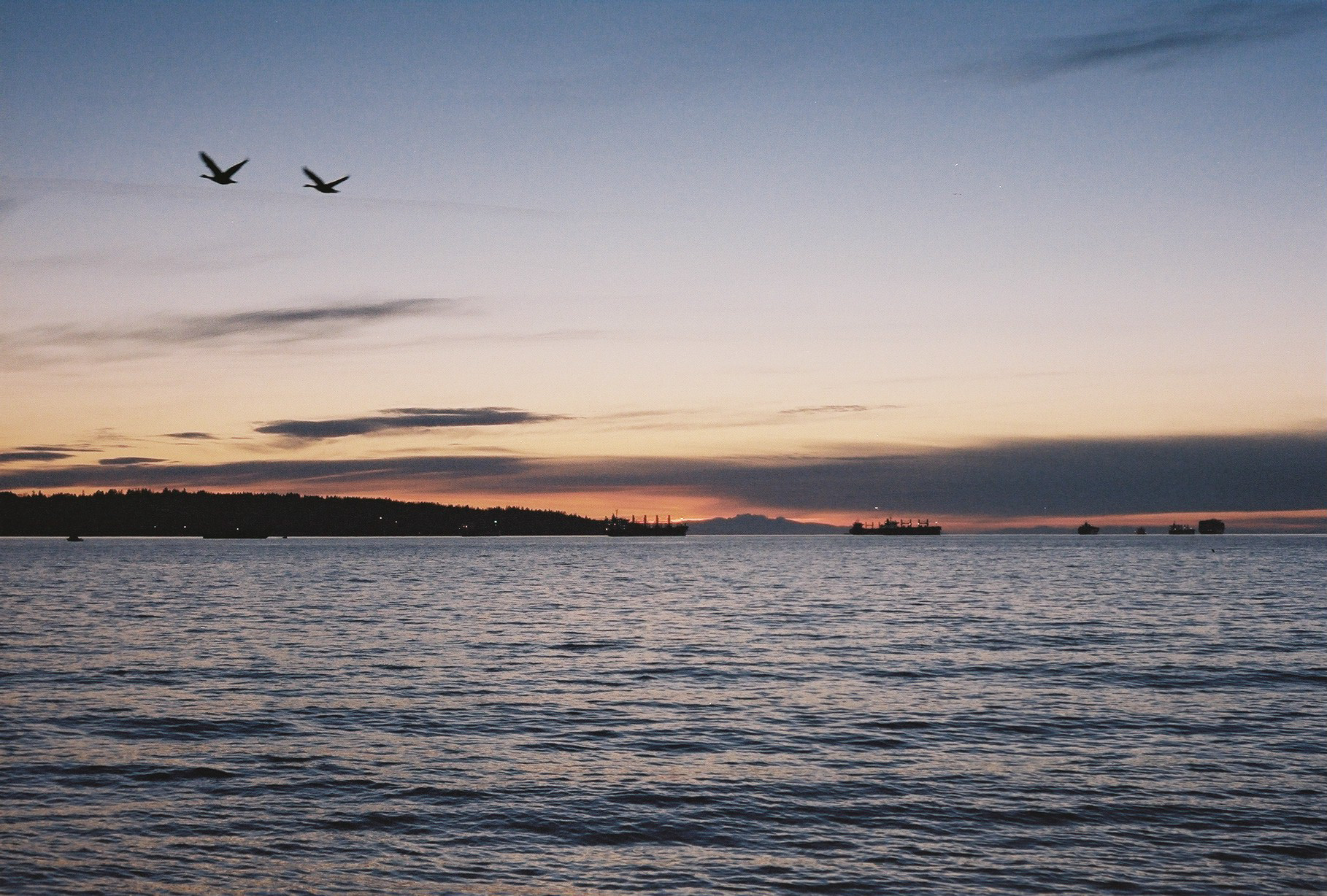 ALONG THE WEST COAST-3