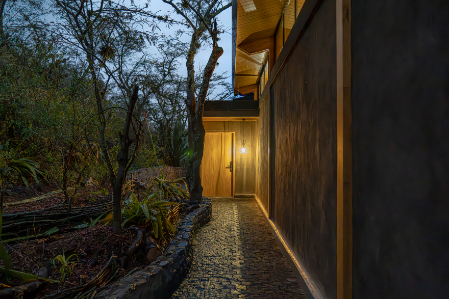 LA CASA DEL BOSQUE-6