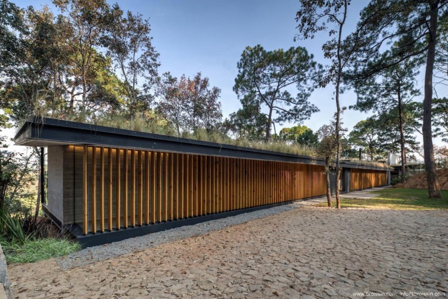 Irekua Anatani(树下的家庭住宅)-6