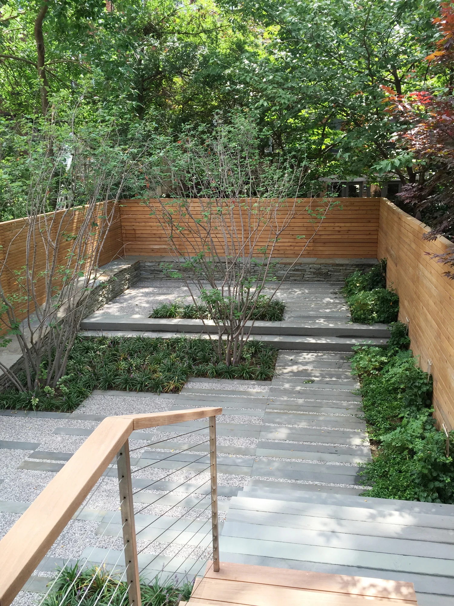 Urban Sponge Garden（城市海绵花园）丨美国新泽西-6