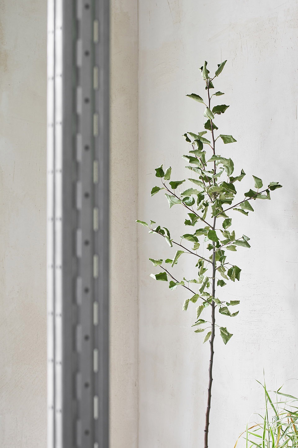 圣彼得堡 ANIMALS 快闪餐厅丨俄罗斯圣彼得堡丨DA bureau-27