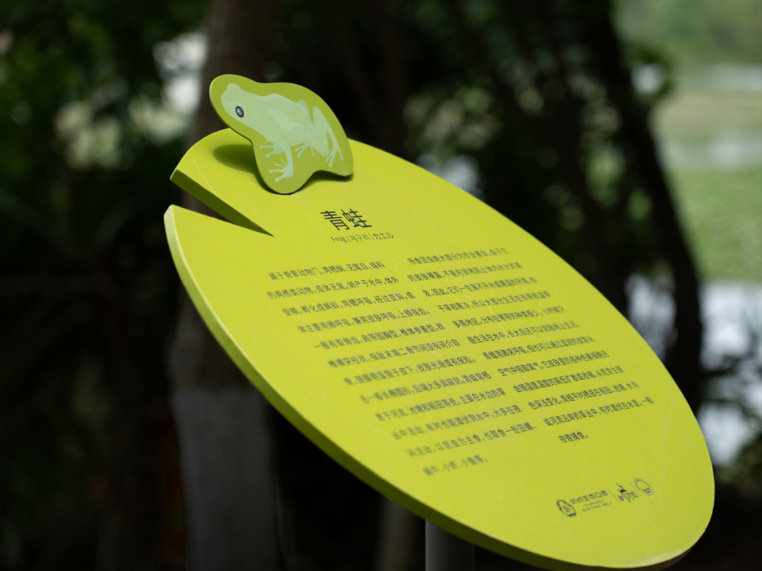 白鹭湾湿地公园自然探索基地丨中国成都丨上海柏熙标识有限公司-25