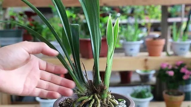 极简轻奢,重构生活美学丨星艺装饰广州总部-24