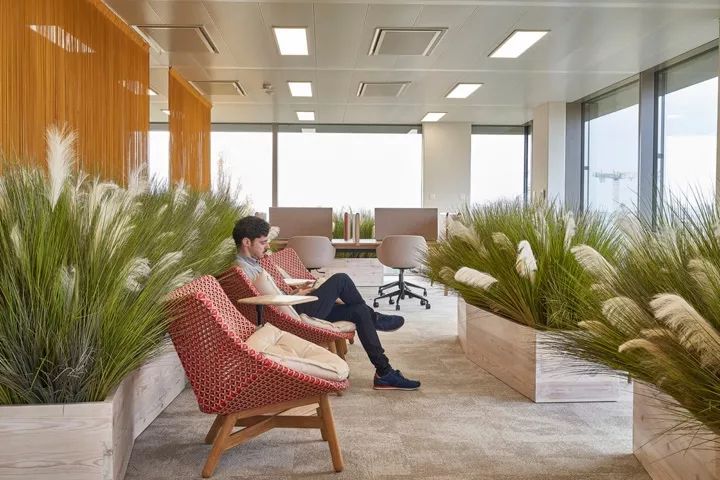 日内瓦 GAVI 办公室设计展现多样性与温暖-11