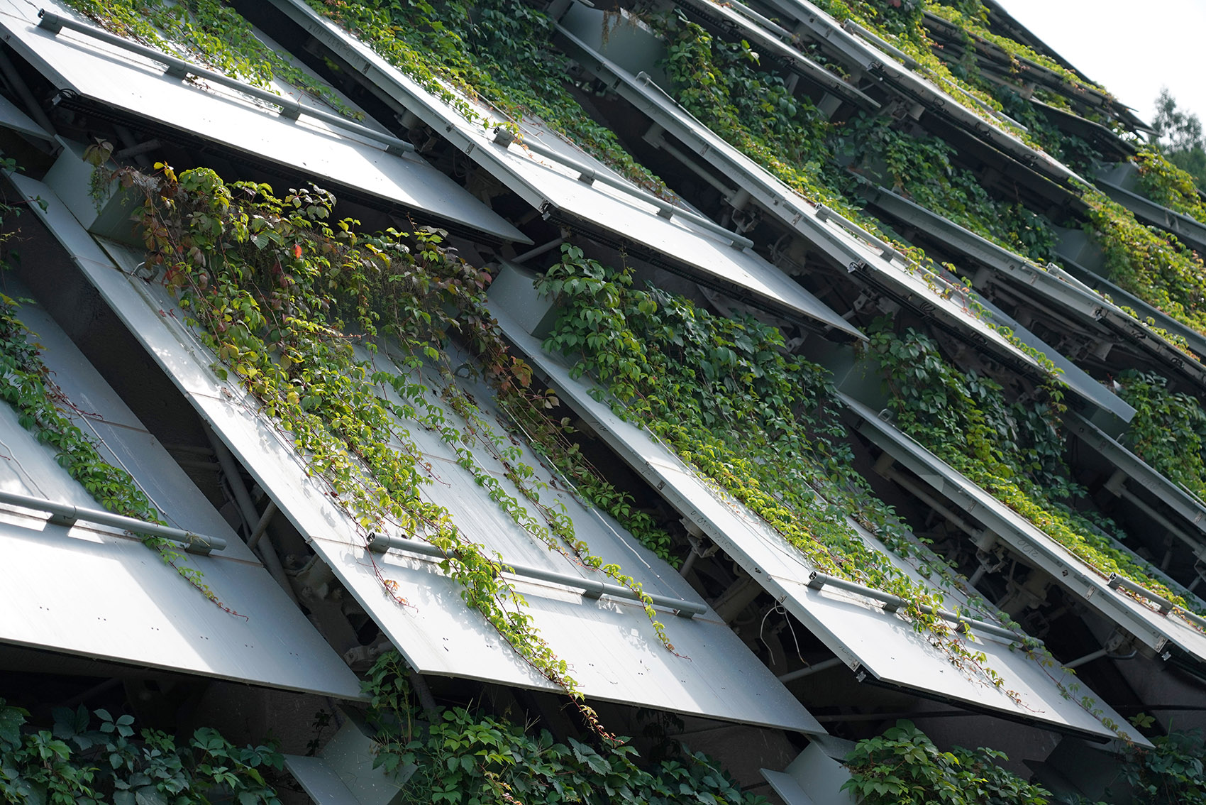 北京周口店遗址第1地点(猿人洞)保护建筑丨中国北京丨清华大学建筑设计研究院-13