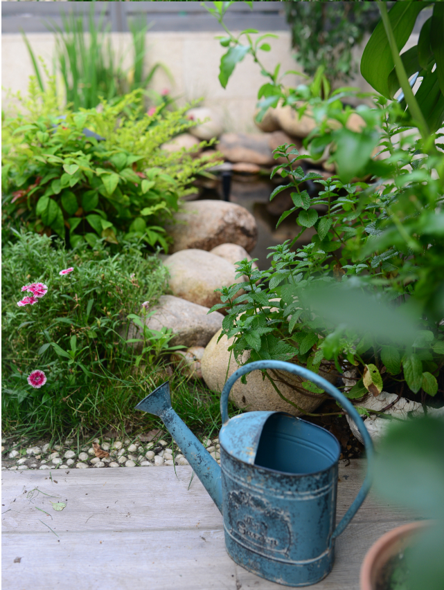 她花一万元，在院子里建了个“原生态鱼池”，太漂亮了！-14