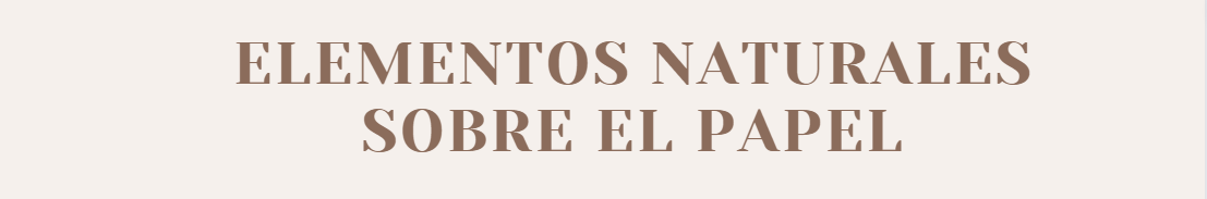 ARQ 1101 - El espacio desde los elementos naturales-3