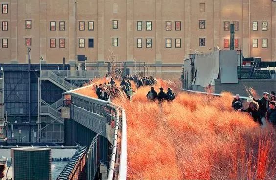 高线公园 (High Line Park)-164