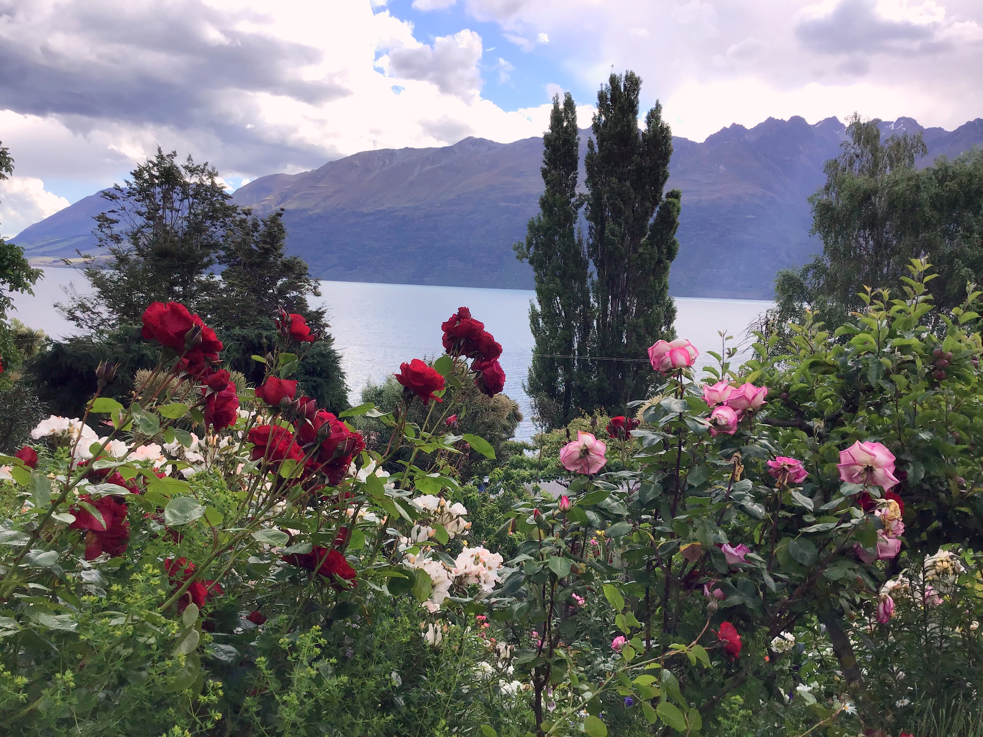 A Wild Dream私人花园丨新西兰丨无明确信息-6