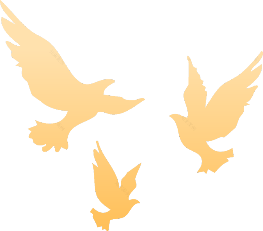 看!天安门广场年号台这样建成、花卉景观这样布置-4