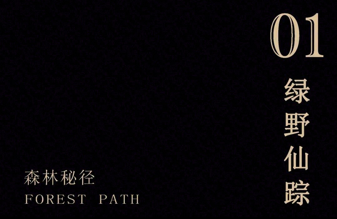 美的·天璟森系美学馆丨中国邯郸丨励时设计（国际）-4