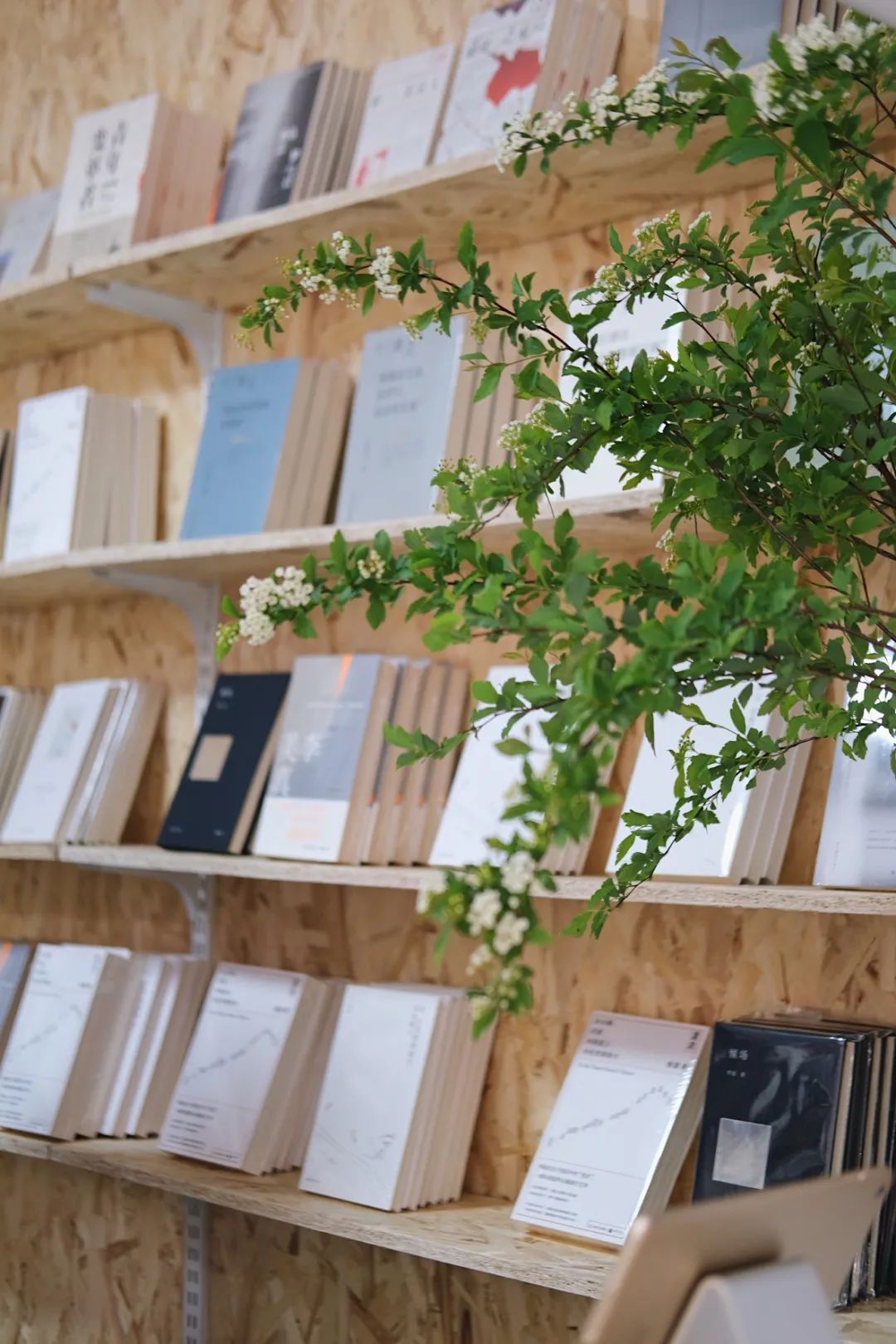 野狗商店·报刊亭-39