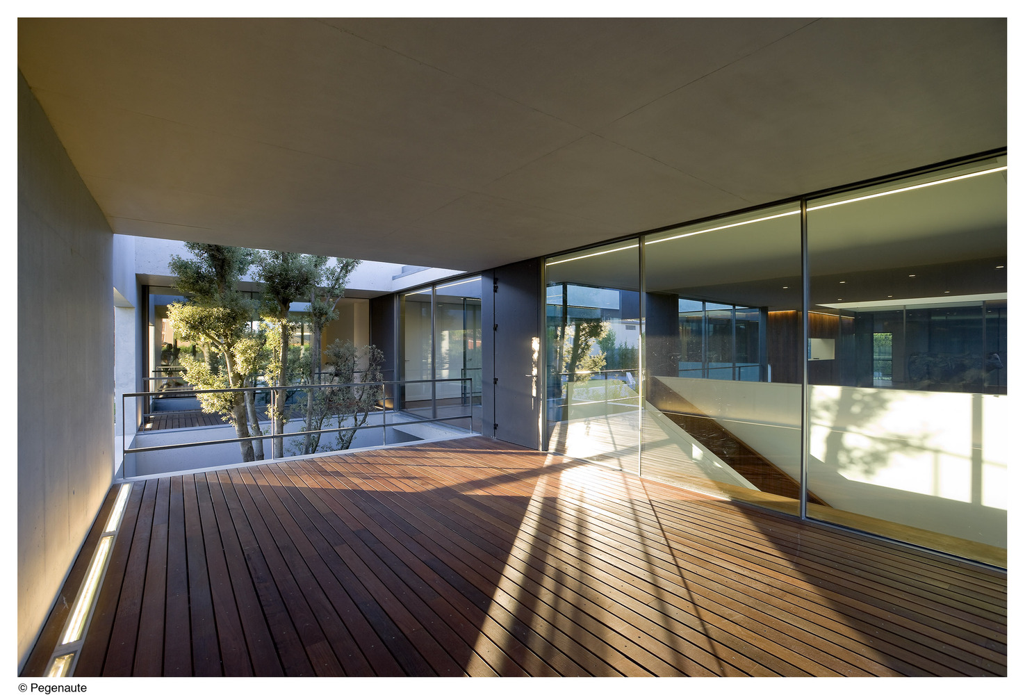 Domínguez House 过滤式花园设计-31