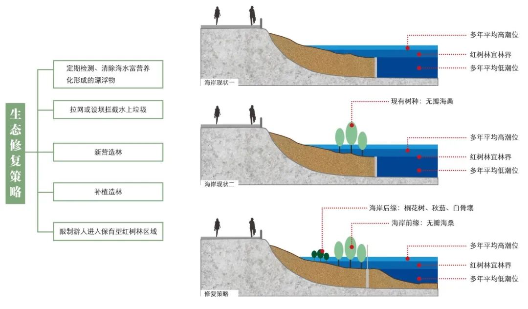 广州番禺海鸥岛红树林生态修复丨中国广州丨岩土工程研究二所-26