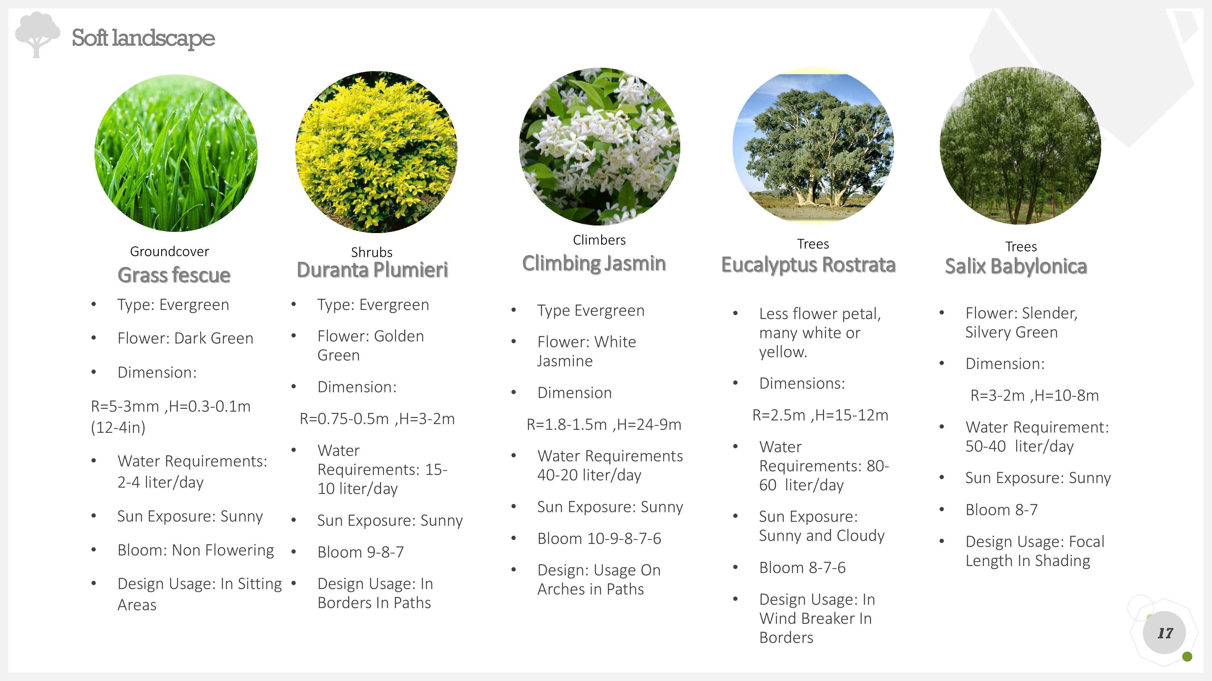 Landscape Redesign Competition-3