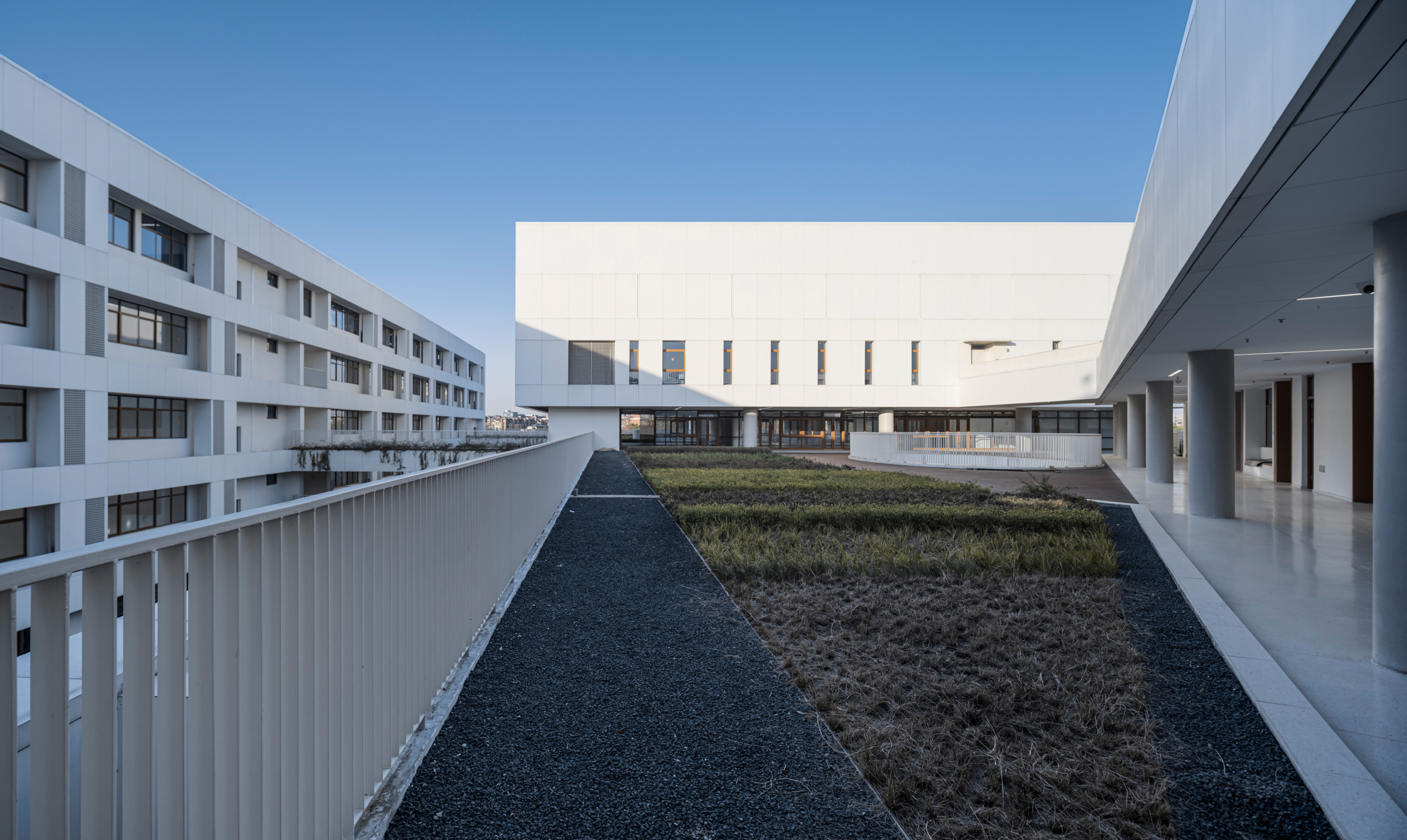 为校园“留白”：金陵中学附属中小学 / 九城都市-13