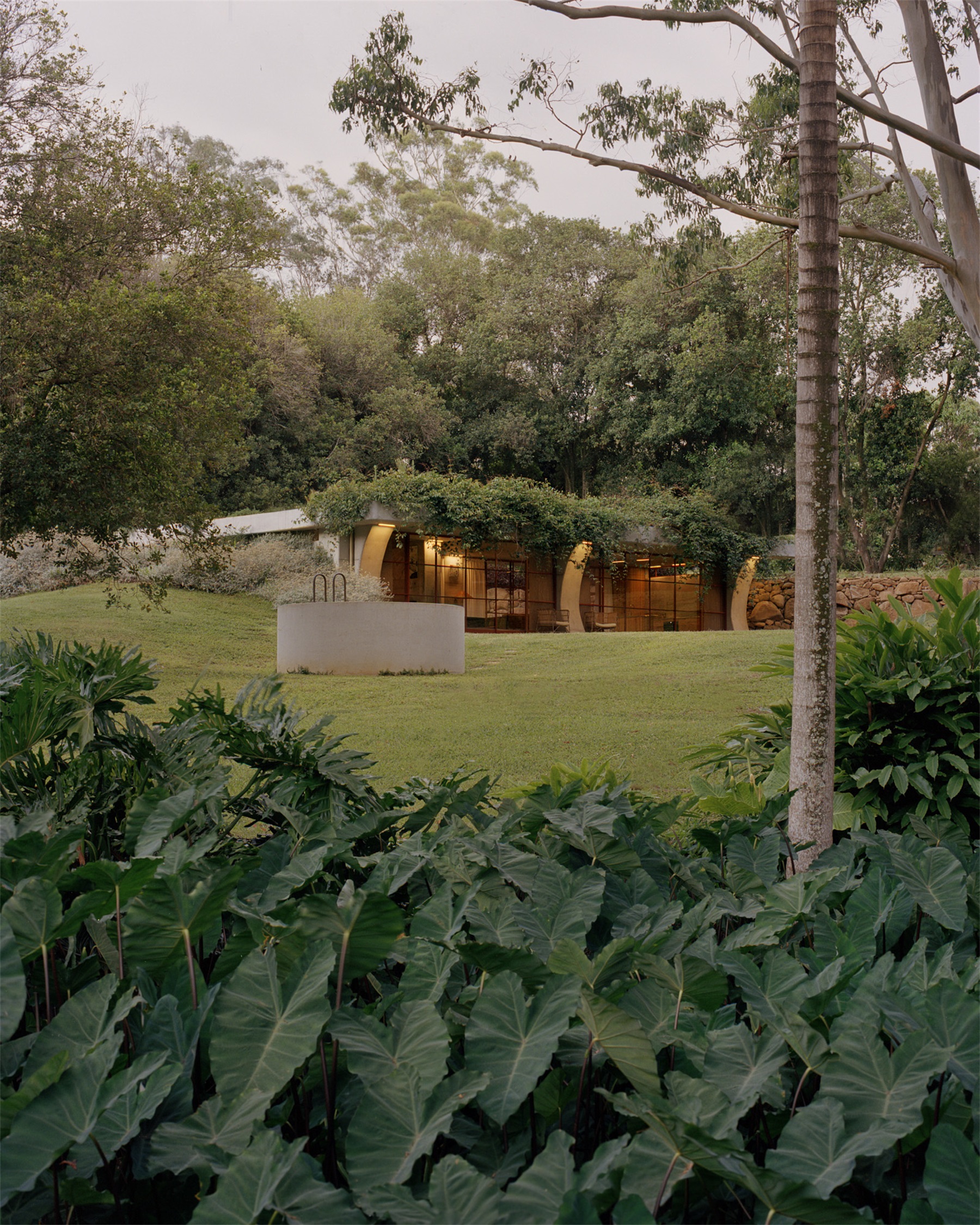 帕洛玛丨澳大利亚悉尼丨Fearon Hay-43