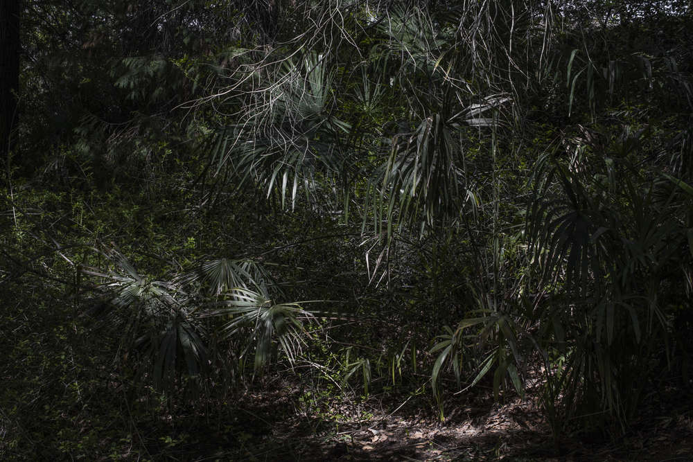 星座丨Daniel Zamarbide,Leopold Banchini-5