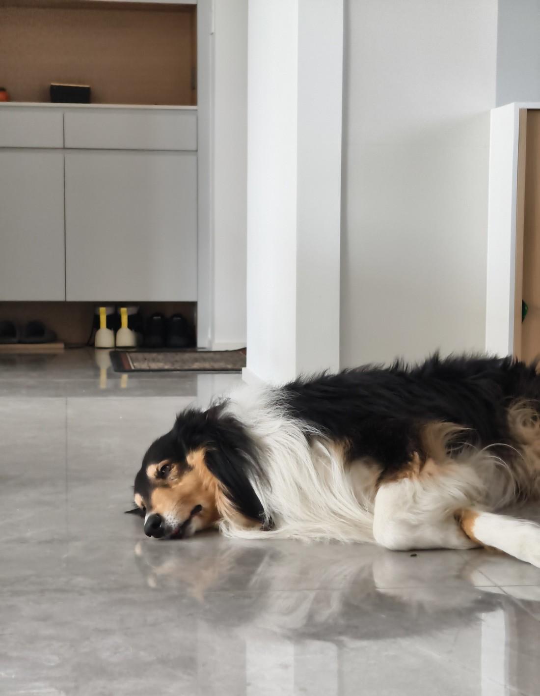 精装房改造案例 独居律师的全功能生活-12